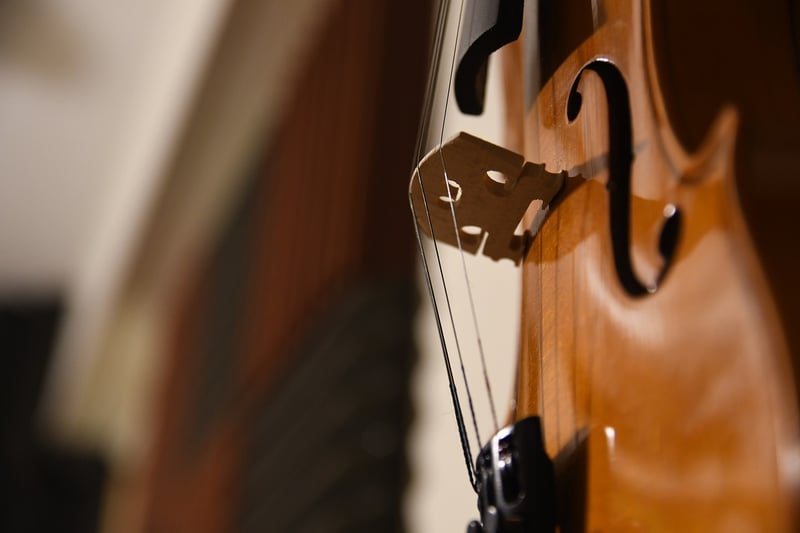Musician